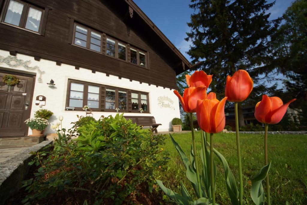 Gaestehaus Funk Гостевой дом 3*